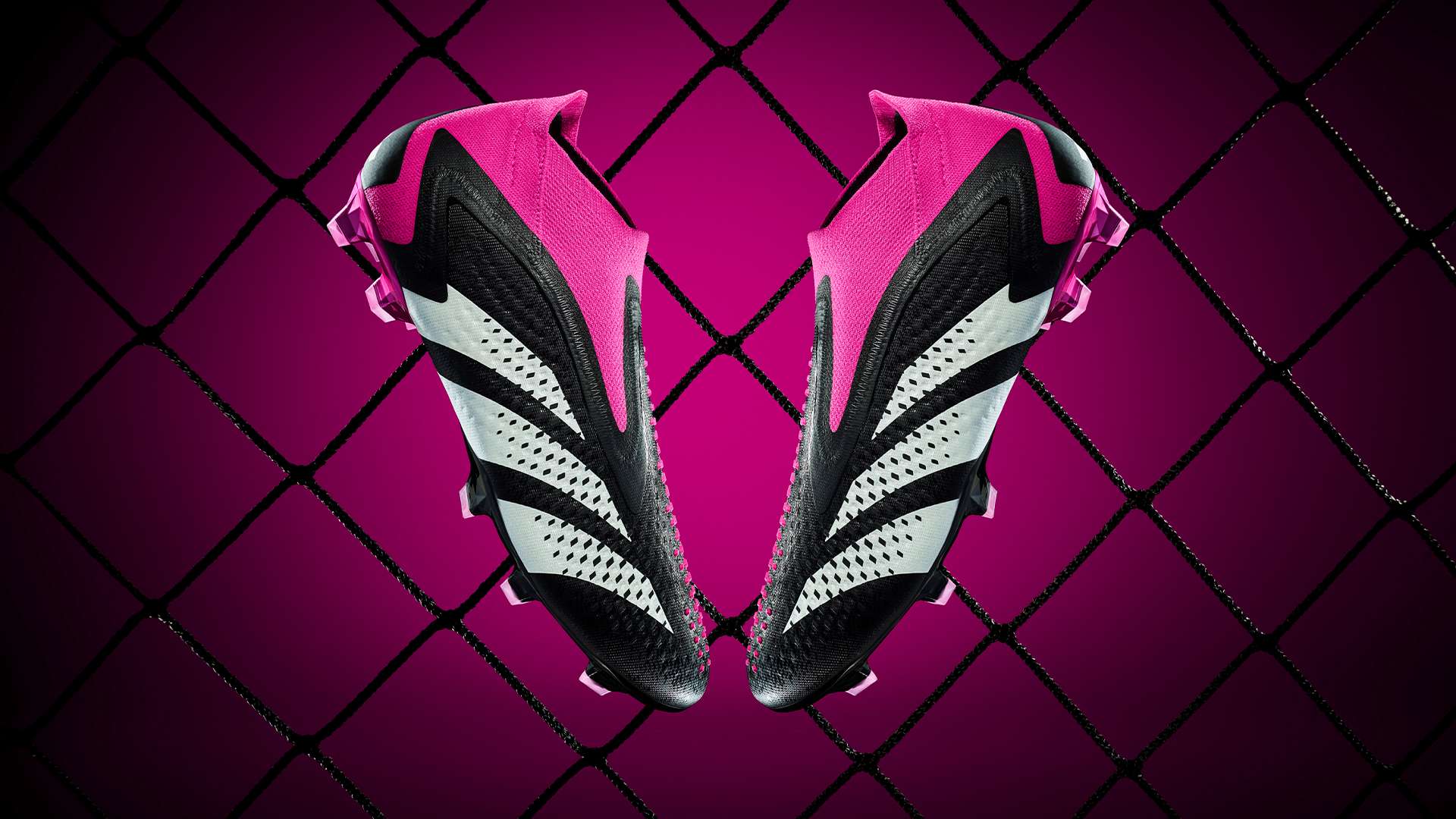 审核报名和 审核报名和