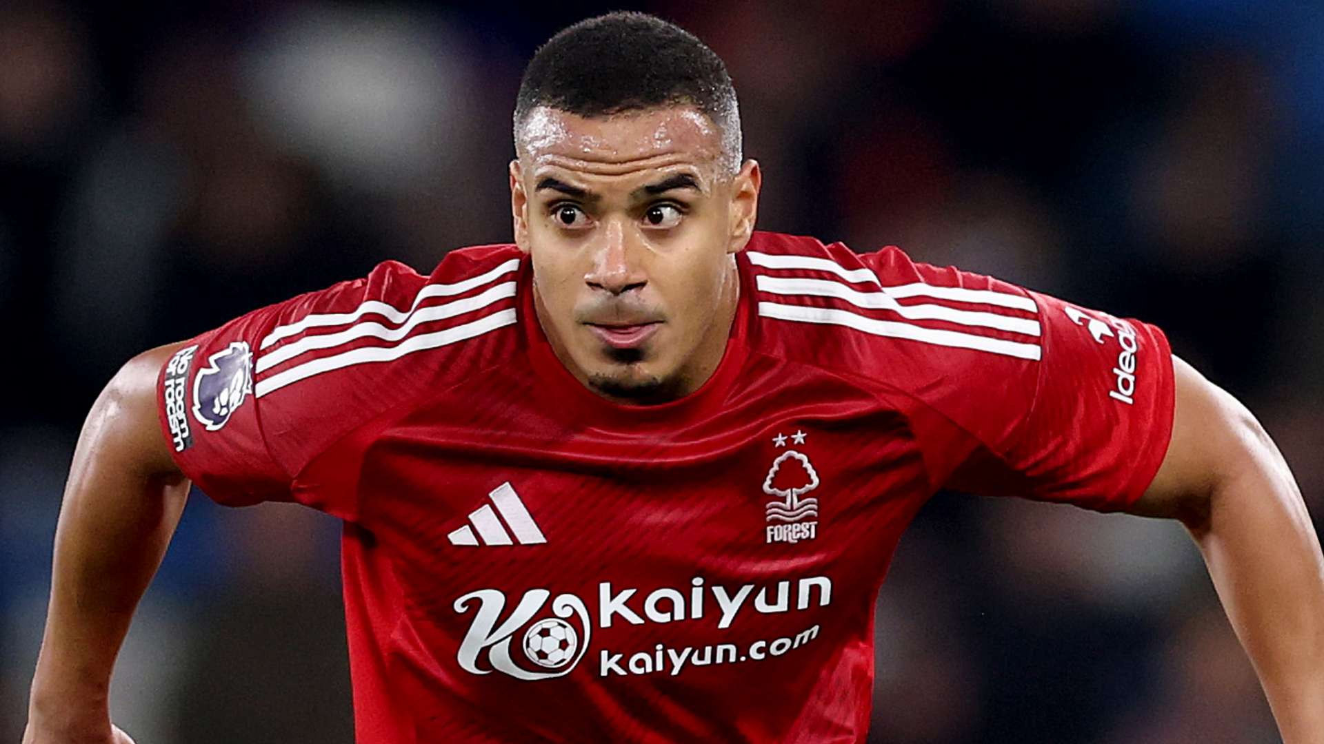 历史冠军回 历史冠军回